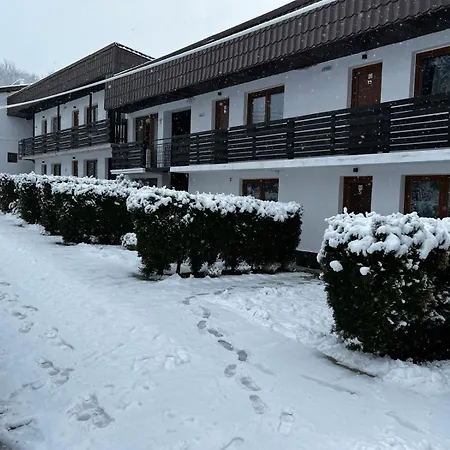 Pensiunea Bavaria Campina-2